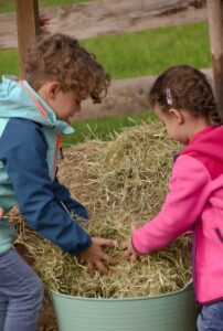 Zwei Kinder greifen gemeinsam in einen Heueimer auf der Lamaweide bei GlücksLama.