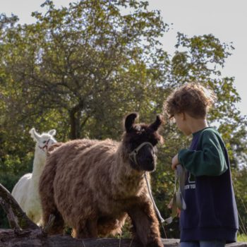 Gabriel-TGI-683x1024