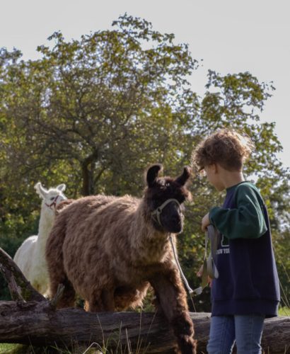 Gabriel-TGI-683x1024