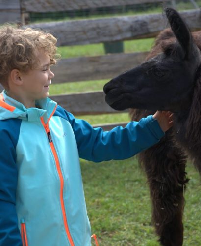 Gabrile-Fritz-streicheln-Galerie-768x1121