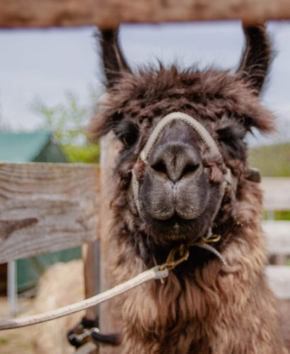 Manfred-Wanderung-1-1024x713