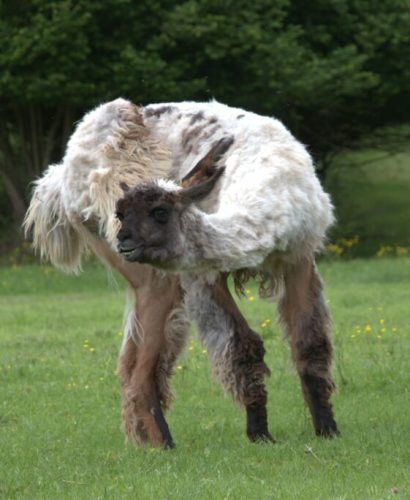 WhatsApp-Image-2025-01-02-at-11.19.20-1024x684